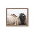 Picture of Good Talk _GroupedProduct_Rectangle_Landscape_Photography _GroupedProduct_Rectangle_Landscape_Framed_Matted_