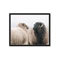 Picture of Good Talk _GroupedProduct_Rectangle_Landscape_Photography _GroupedProduct_Rectangle_Landscape_Framed_Matted_