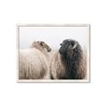 Picture of Good Talk _GroupedProduct_Rectangle_Landscape_Photography _GroupedProduct_Rectangle_Landscape_Framed_Matted_