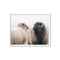 Picture of Good Talk _GroupedProduct_Rectangle_Landscape_Photography _GroupedProduct_Rectangle_Landscape_Framed_Matted_