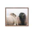 Picture of Good Talk _GroupedProduct_Rectangle_Landscape_Photography _GroupedProduct_Rectangle_Landscape_Framed_Matted_