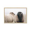 Picture of Good Talk _GroupedProduct_Rectangle_Landscape_Photography _GroupedProduct_Rectangle_Landscape_Framed_Matted_