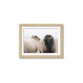 Picture of Good Talk _GroupedProduct_Rectangle_Landscape_Photography _GroupedProduct_Rectangle_Landscape_Framed_Matted_
