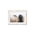Picture of Good Talk _GroupedProduct_Rectangle_Landscape_Photography _GroupedProduct_Rectangle_Landscape_Framed_Matted_