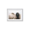 Picture of Good Talk _GroupedProduct_Rectangle_Landscape_Photography _GroupedProduct_Rectangle_Landscape_Framed_Matted_