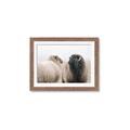 Picture of Good Talk _GroupedProduct_Rectangle_Landscape_Photography _GroupedProduct_Rectangle_Landscape_Framed_Matted_