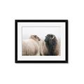 Picture of Good Talk _GroupedProduct_Rectangle_Landscape_Photography _GroupedProduct_Rectangle_Landscape_Framed_Matted_