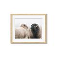 Picture of Good Talk _GroupedProduct_Rectangle_Landscape_Photography _GroupedProduct_Rectangle_Landscape_Framed_Matted_