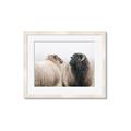 Picture of Good Talk _GroupedProduct_Rectangle_Landscape_Photography _GroupedProduct_Rectangle_Landscape_Framed_Matted_