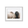 Picture of Good Talk _GroupedProduct_Rectangle_Landscape_Photography _GroupedProduct_Rectangle_Landscape_Framed_Matted_