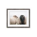 Picture of Good Talk _GroupedProduct_Rectangle_Landscape_Photography _GroupedProduct_Rectangle_Landscape_Framed_Matted_