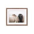 Picture of Good Talk _GroupedProduct_Rectangle_Landscape_Photography _GroupedProduct_Rectangle_Landscape_Framed_Matted_