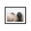 Picture of Good Talk _GroupedProduct_Rectangle_Landscape_Photography _GroupedProduct_Rectangle_Landscape_Framed_Matted_