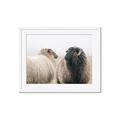 Picture of Good Talk _GroupedProduct_Rectangle_Landscape_Photography _GroupedProduct_Rectangle_Landscape_Framed_Matted_