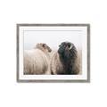 Picture of Good Talk _GroupedProduct_Rectangle_Landscape_Photography _GroupedProduct_Rectangle_Landscape_Framed_Matted_