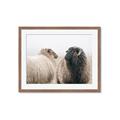 Picture of Good Talk _GroupedProduct_Rectangle_Landscape_Photography _GroupedProduct_Rectangle_Landscape_Framed_Matted_