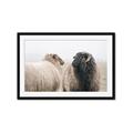 Picture of Good Talk _GroupedProduct_Rectangle_Landscape_Photography _GroupedProduct_Rectangle_Landscape_Framed_Matted_