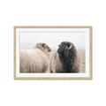 Picture of Good Talk _GroupedProduct_Rectangle_Landscape_Photography _GroupedProduct_Rectangle_Landscape_Framed_Matted_
