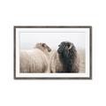 Picture of Good Talk _GroupedProduct_Rectangle_Landscape_Photography _GroupedProduct_Rectangle_Landscape_Framed_Matted_