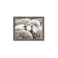 Picture of Sheepish _GroupedProduct_Rectangle_Landscape_Photography _GroupedProduct_Rectangle_Landscape_Framed_Matted_