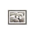 Picture of Sheepish _GroupedProduct_Rectangle_Landscape_Photography _GroupedProduct_Rectangle_Landscape_Framed_Matted_