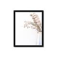 Picture of Nautral Eucalyptus  _GroupedProduct_Rectangle_Portrait_Photography _GroupedProduct_Rectangle_Portrait_Framed_Matted_