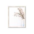 Picture of Nautral Eucalyptus  _GroupedProduct_Rectangle_Portrait_Photography _GroupedProduct_Rectangle_Portrait_Framed_Matted_