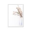 Picture of Nautral Eucalyptus  _GroupedProduct_Rectangle_Portrait_Photography _GroupedProduct_Rectangle_Portrait_Framed_Matted_