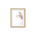 Picture of Nautral Eucalyptus  _GroupedProduct_Rectangle_Portrait_Photography _GroupedProduct_Rectangle_Portrait_Framed_Matted_