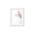 Picture of Nautral Eucalyptus  _GroupedProduct_Rectangle_Portrait_Photography _GroupedProduct_Rectangle_Portrait_Framed_Matted_