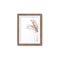 Picture of Nautral Eucalyptus  _GroupedProduct_Rectangle_Portrait_Photography _GroupedProduct_Rectangle_Portrait_Framed_Matted_