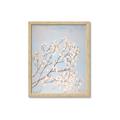 Picture of Cotton flowers _GroupedProduct_Rectangle_Portrait_Framed_Matted_