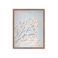 Picture of Cotton flowers _GroupedProduct_Rectangle_Portrait_Framed_Matted_