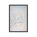 Picture of Cotton flowers _GroupedProduct_Rectangle_Portrait_Framed_Matted_
