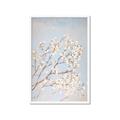 Picture of Cotton flowers _GroupedProduct_Rectangle_Portrait_Framed_Matted_