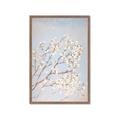 Picture of Cotton flowers _GroupedProduct_Rectangle_Portrait_Framed_Matted_