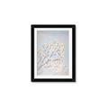 Picture of Cotton flowers _GroupedProduct_Rectangle_Portrait_Framed_Matted_