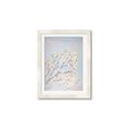 Picture of Cotton flowers _GroupedProduct_Rectangle_Portrait_Framed_Matted_