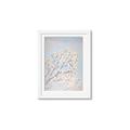 Picture of Cotton flowers _GroupedProduct_Rectangle_Portrait_Framed_Matted_