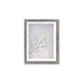 Picture of Cotton flowers _GroupedProduct_Rectangle_Portrait_Framed_Matted_