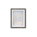 Picture of Cotton flowers _GroupedProduct_Rectangle_Portrait_Framed_Matted_