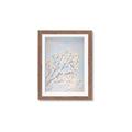 Picture of Cotton flowers _GroupedProduct_Rectangle_Portrait_Framed_Matted_