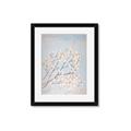 Picture of Cotton flowers _GroupedProduct_Rectangle_Portrait_Framed_Matted_