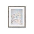 Picture of Cotton flowers _GroupedProduct_Rectangle_Portrait_Framed_Matted_