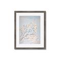 Picture of Cotton flowers _GroupedProduct_Rectangle_Portrait_Framed_Matted_