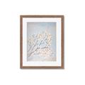 Picture of Cotton flowers _GroupedProduct_Rectangle_Portrait_Framed_Matted_