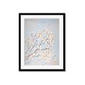Picture of Cotton flowers _GroupedProduct_Rectangle_Portrait_Framed_Matted_