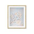 Picture of Cotton flowers _GroupedProduct_Rectangle_Portrait_Framed_Matted_