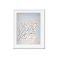 Picture of Cotton flowers _GroupedProduct_Rectangle_Portrait_Framed_Matted_