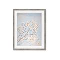 Picture of Cotton flowers _GroupedProduct_Rectangle_Portrait_Framed_Matted_